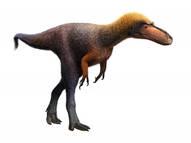 Artist’s depiction of Suskityrannus hazelae.